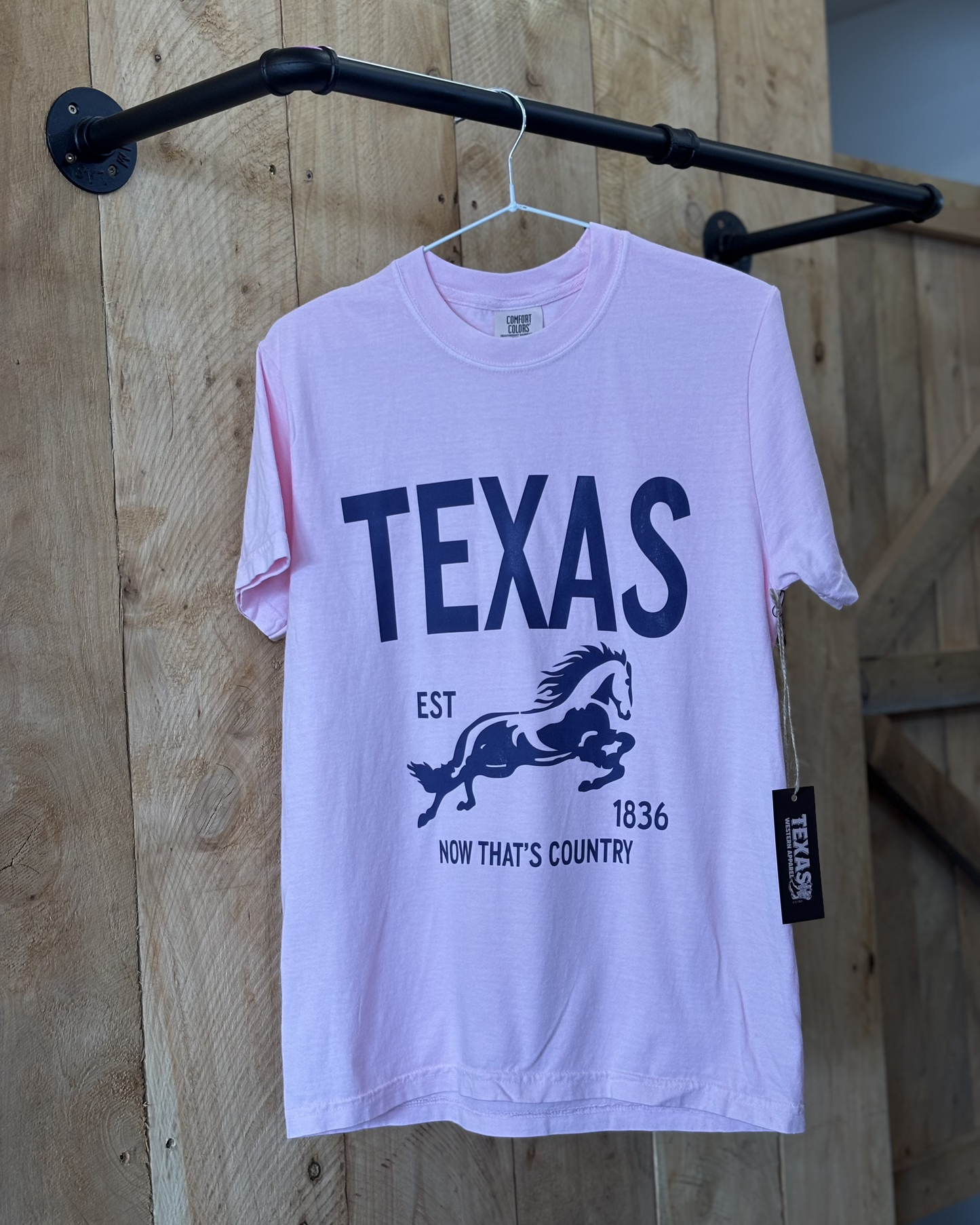 A woman with long, wavy hair wears a pastel pink oversized t-shirt with bold navy blue text that reads "TEXAS" along with a galloping horse graphic and the words "EST" and "Now That's Country." She pairs the shirt with a frayed denim mini skirt, a wide-brimmed beige cowboy hat, and embroidered cowboy boots. From the back, showing the plain pink back of the shirt with a relaxed fit.