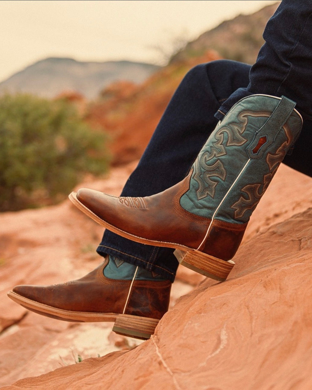 Person wearing brown cowboy boots with blue accents in a desert setting