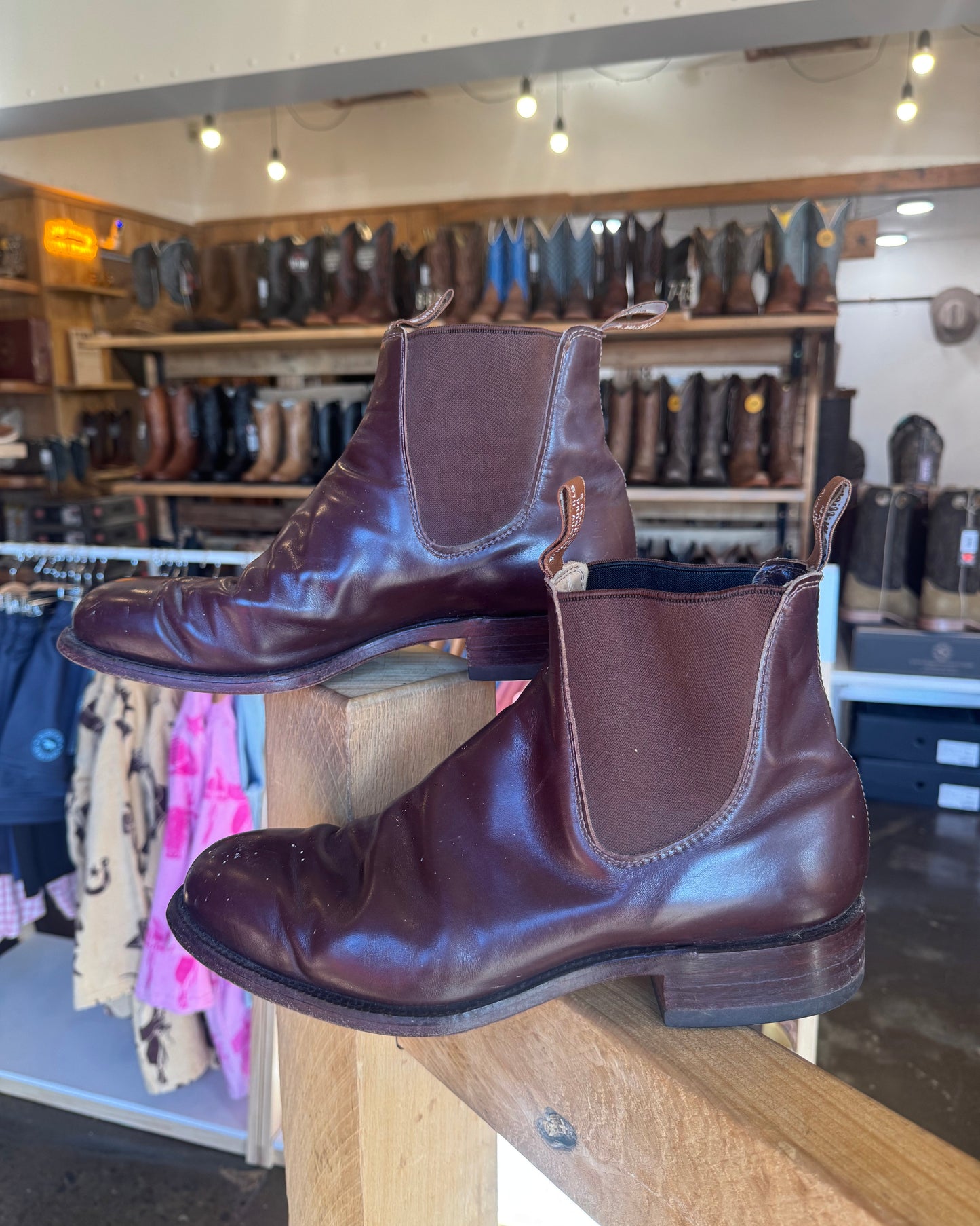 RM Williams Chelsea Boots - Texas Western New Zealand
