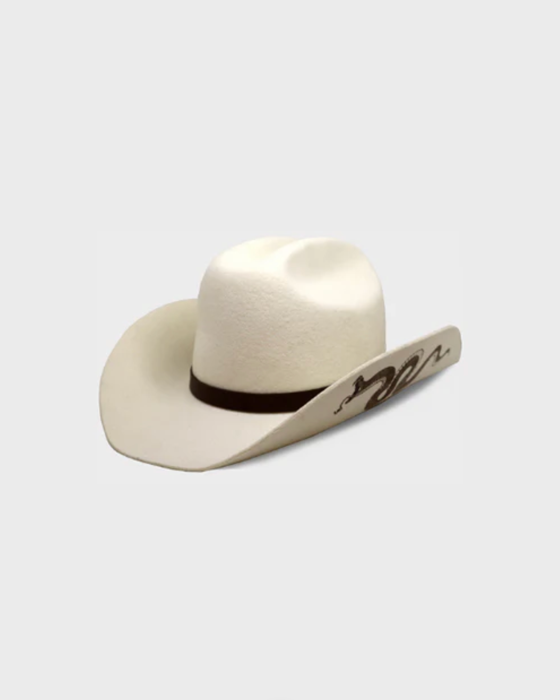 White cowboy hat with a brown band on a light gray background
